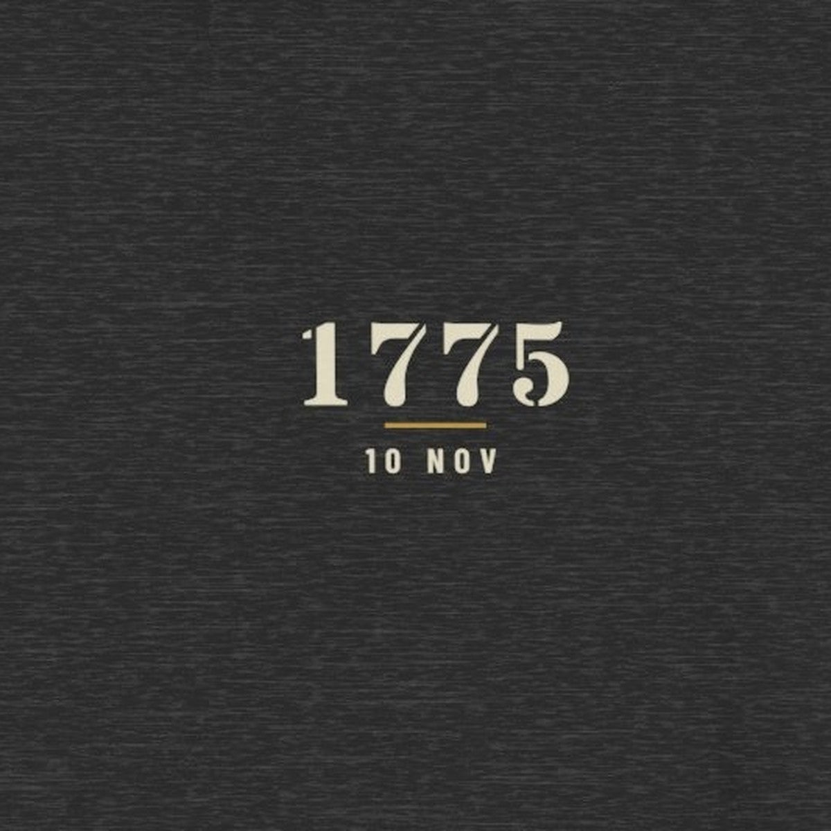 Close-up of the 1775 10 NOV chest print